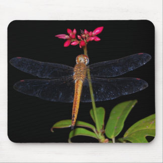DragonFly Mouse Pad
