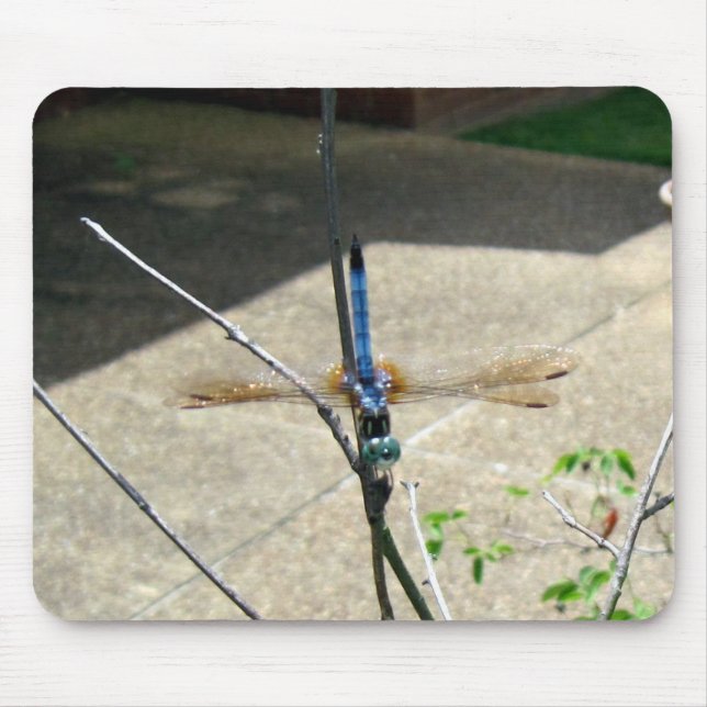 Dragonfly Mouse Pad (Front)