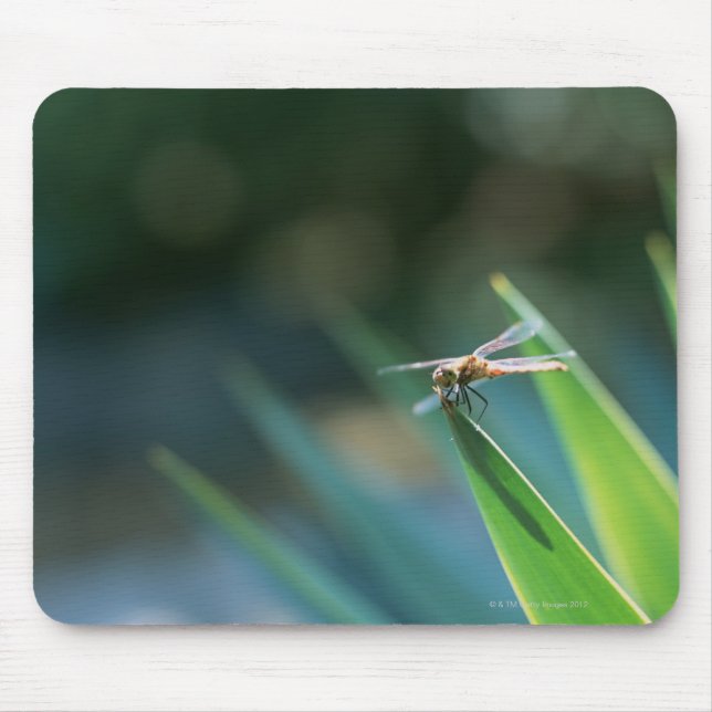 Dragonfly Mouse Pad (Front)