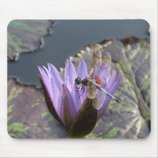 DragonFly Mouse Pad