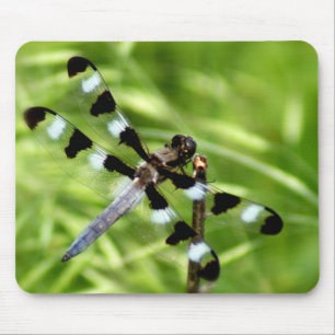 Dragonfly Mousepad
