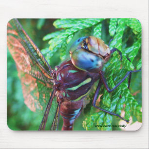 Dragonfly mousepad design
