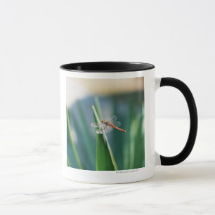 Dragonfly Mug