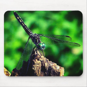 Dragonfly Nature  Mouse Pad