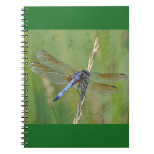 Dragonfly Notebook