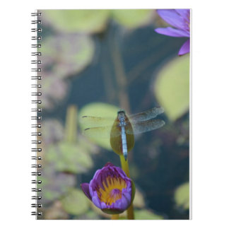 dragonfly notebook