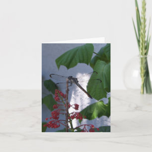 Dragonfly on a blank inside note card