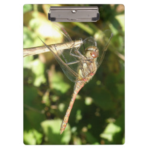 Dragonfly on a Twig Clipboard