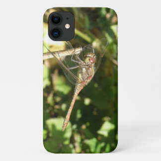 Dragonfly on a Twig iPhone Case