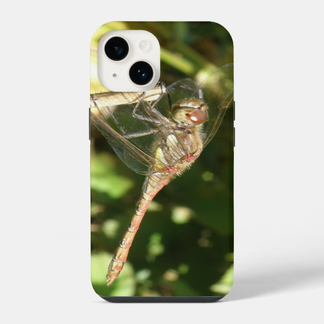 Dragonfly on a Twig iPhone Case (Back)