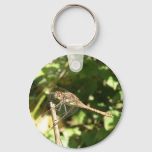 Dragonfly on a Twig Keychain