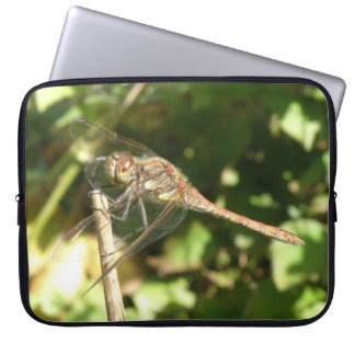 Dragonfly on a Twig Laptop Sleeve