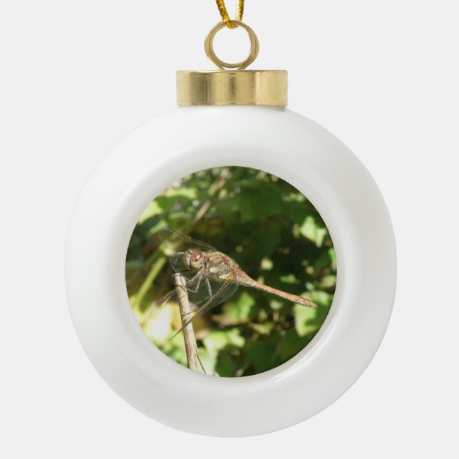 Dragonfly on a Twig Ornament (Front)