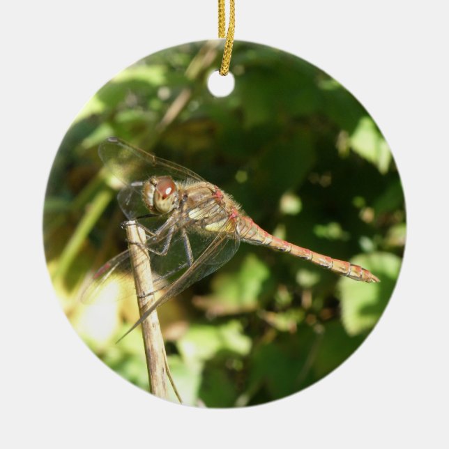 Dragonfly on a Twig Ornament (Front)