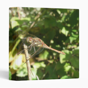 Dragonfly on a Twig Photo Album Binder