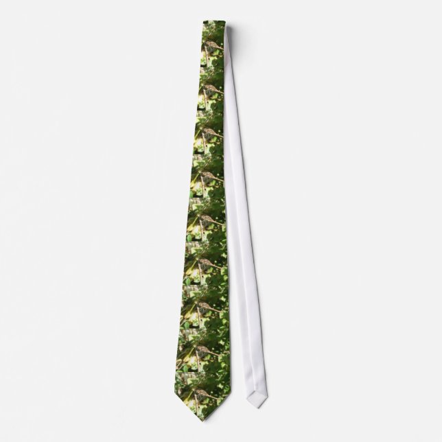 Dragonfly on a Twig Tie (Front)