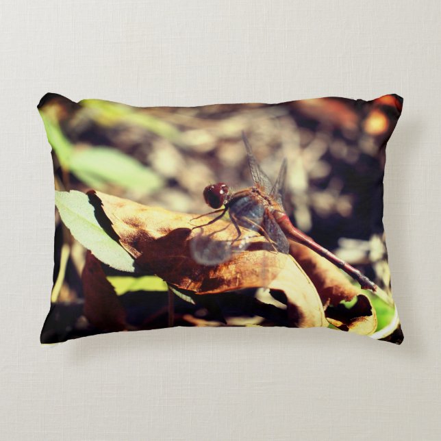 Dragonfly On Dried Leaf Close Up  Accent Pillow (Front)