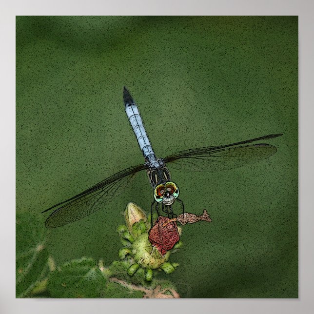 Dragonfly on Flower Photo Art Print (Front)