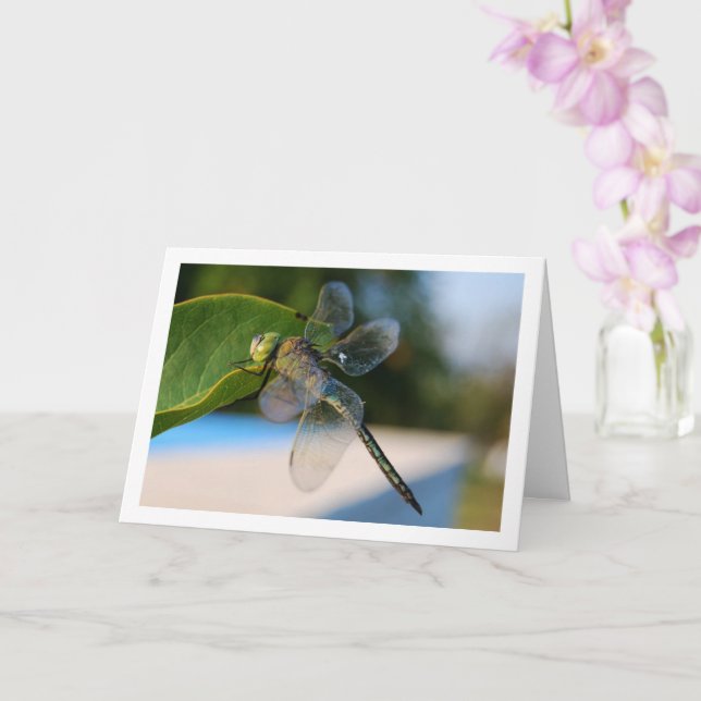 Dragonfly on Green Leaf Card (Orchid)