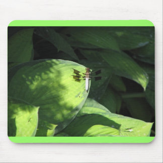 Dragonfly on Hosta Leaves Mouse Pad
