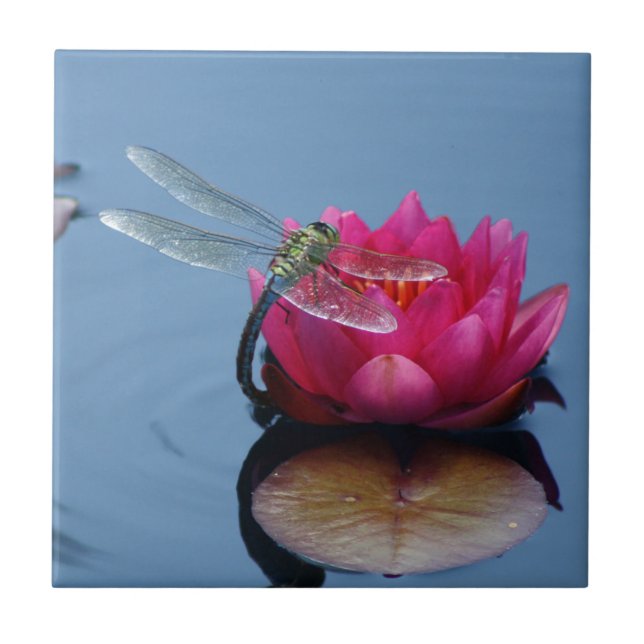 Dragonfly On Lotus Flower Tile (Front)