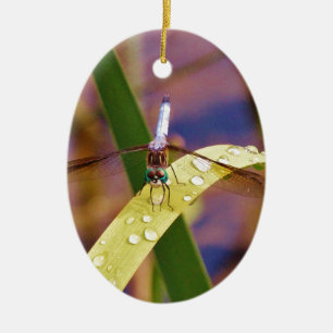 Dragonfly on raindrop leaf ceramic ornament