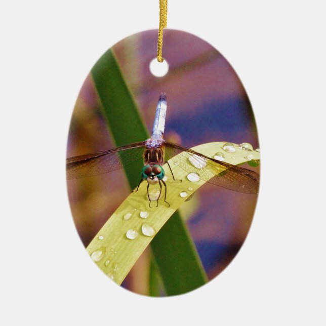 Dragonfly on raindrop leaf ceramic ornament (Front)