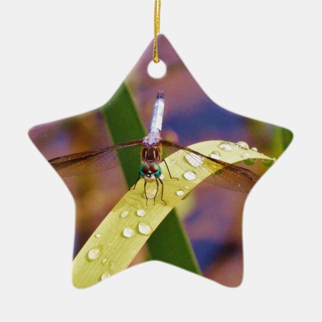 Dragonfly on raindrop leaf ceramic ornament (Front)