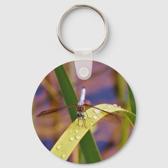Dragonfly on raindrop leaf keychain (Front)