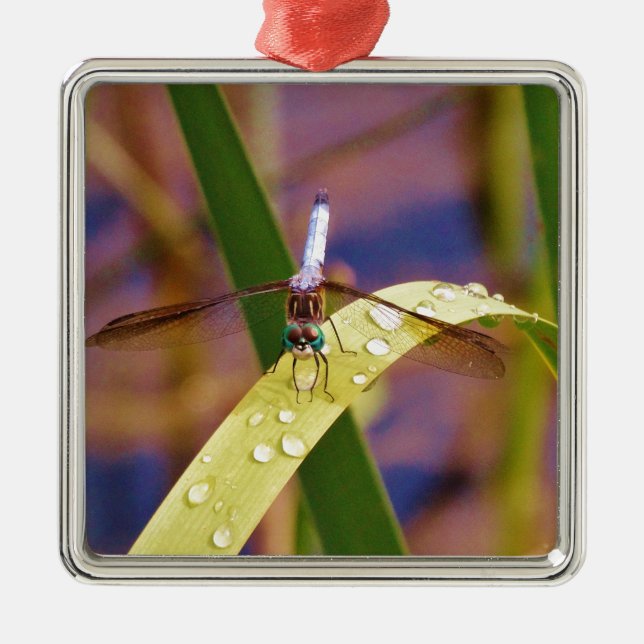 Dragonfly on raindrop leaf metal ornament (Front)