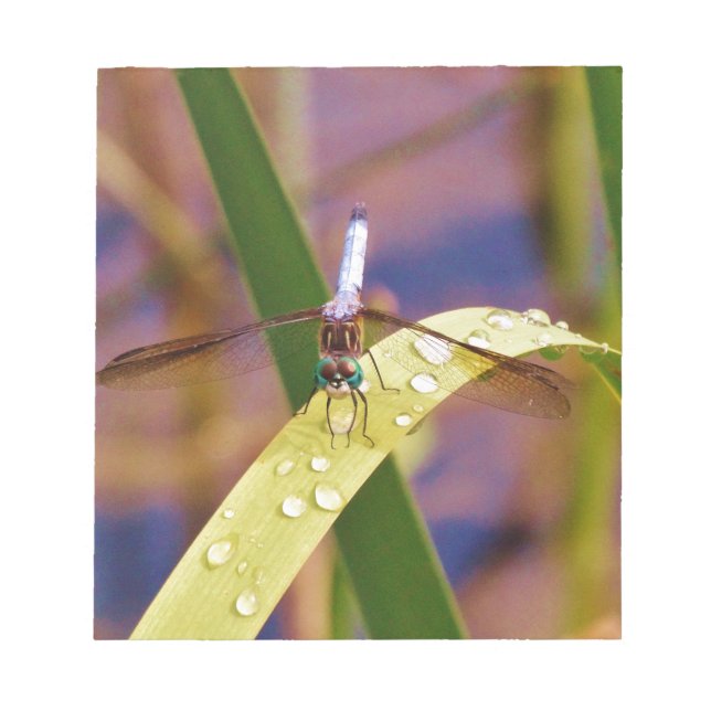 Dragonfly on raindrop leaf notepad (Front)