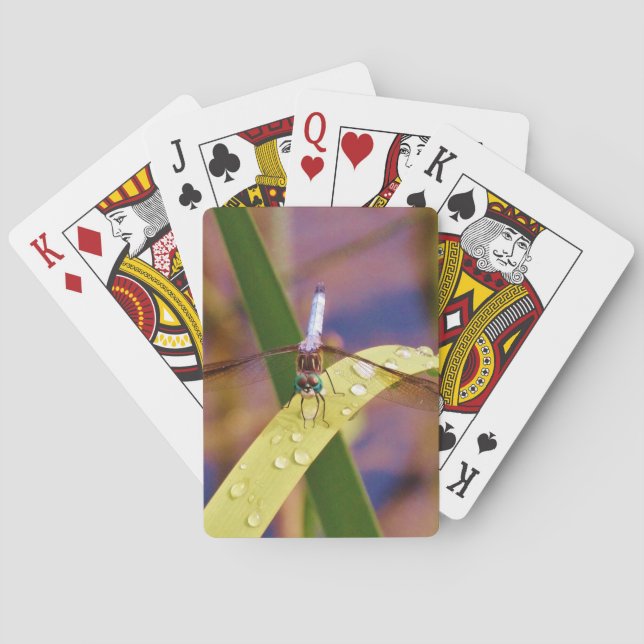 Dragonfly on raindrop leaf playing cards (Back)