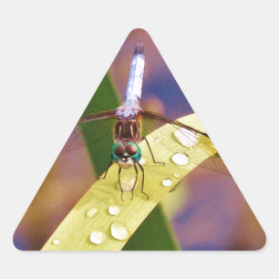 Dragonfly on raindrop leaf triangle sticker