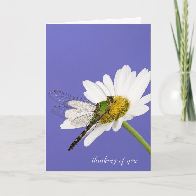 dragonfly on white daisy card (Front)