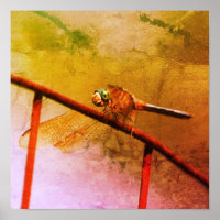 Dragonfly On Wire Fence Distressed Art
