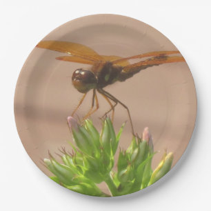 Dragonfly Paper Plate