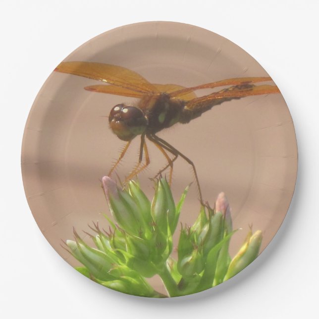 Dragonfly Paper Plate (Front)