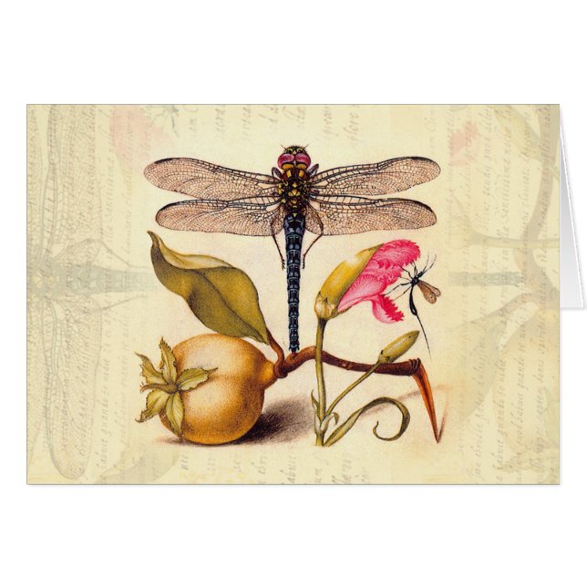 Dragonfly, Pear, Carnation, and Insect (Front Horizontal)