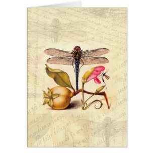 Dragonfly, Pear, Carnation, and Insect