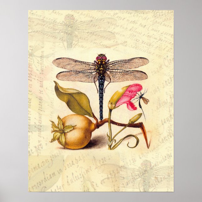 Dragonfly, Pear, Carnation, and Insect Poster (Front)