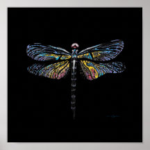 Dragonfly Pen Drawing Poster