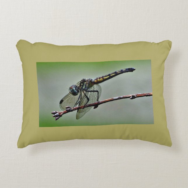 Dragonfly Pillow (Front)