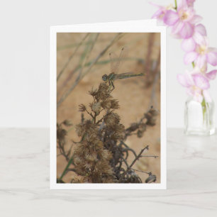 Dragonfly Portrait Card