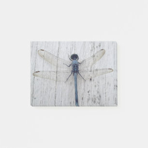 Dragonfly Post-it Notes