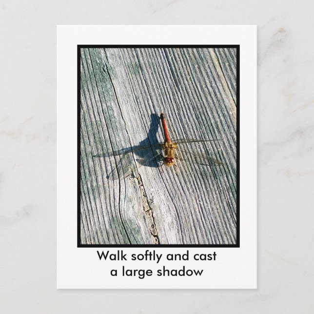 Dragonfly Postcard (Front)