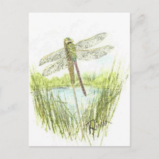 Dragonfly postcard