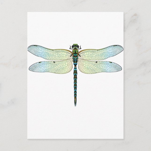 DragonFly Postcard (Front)