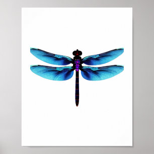 dragonfly poster