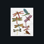 Dragonfly Print 4<br><div class="desc">Animals & Nature</div>