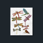 Dragonfly Print 4<br><div class="desc">Animals & Nature</div>